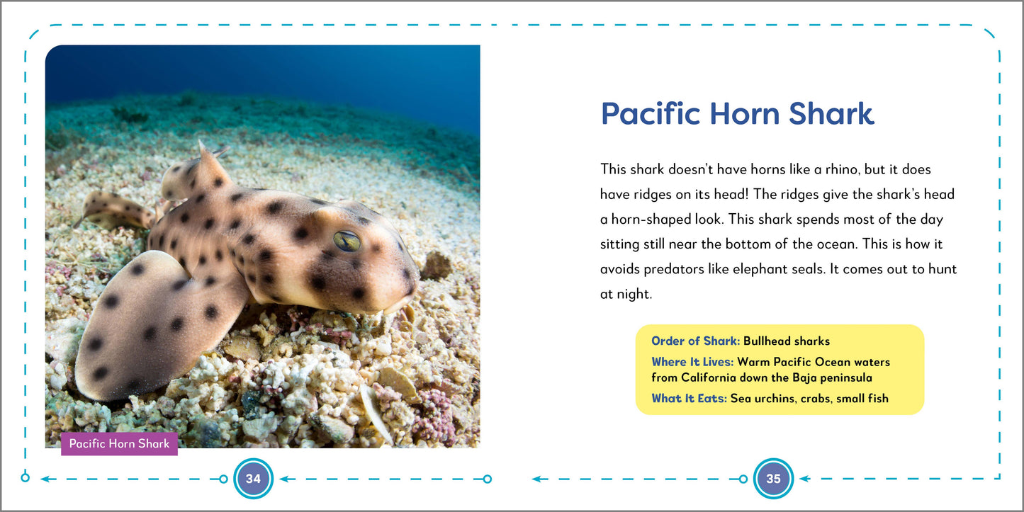 My First Book of Sharks