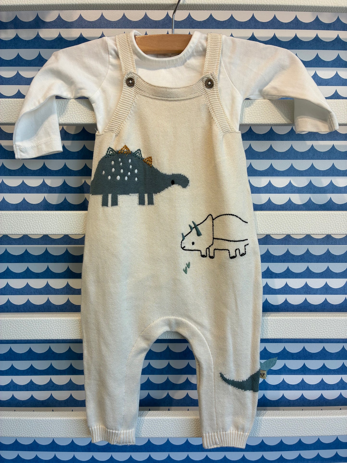 Dino Jacquard Sweater Knit Overall