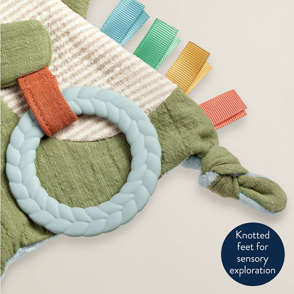 Dino Sensory Toy with Teether