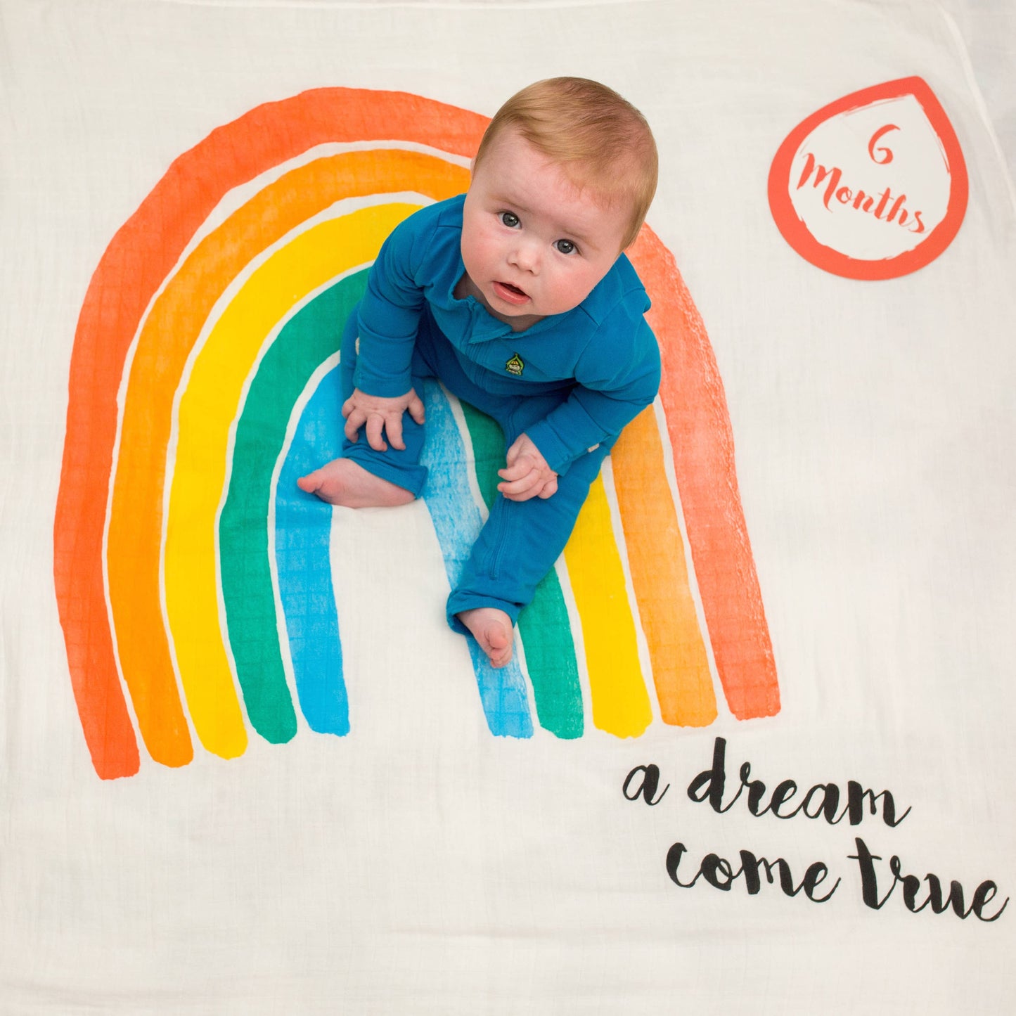 Baby's 1st Year Swaddle & Milestone Cards - Dream Come True