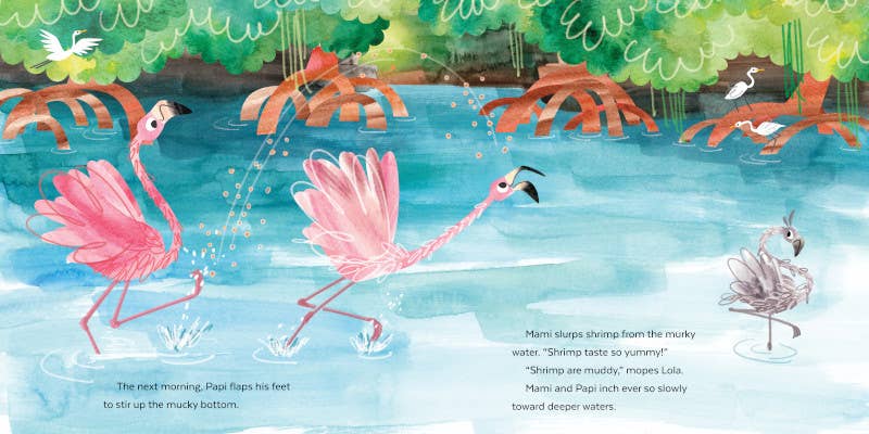 Fussy Flamingo
