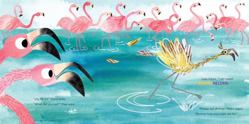 Fussy Flamingo