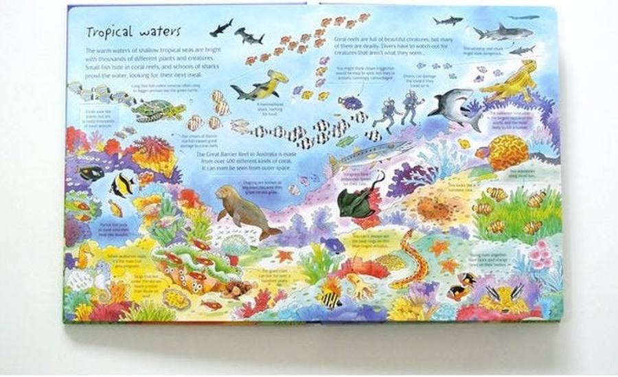 See Under The Sea