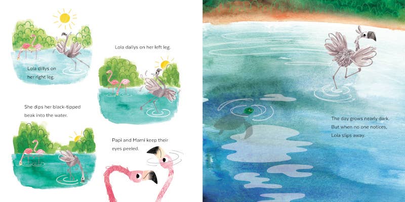 Fussy Flamingo