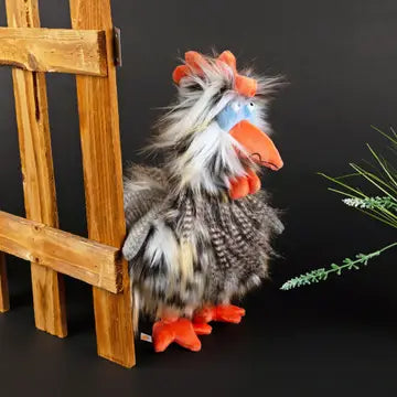 Tour De Poule