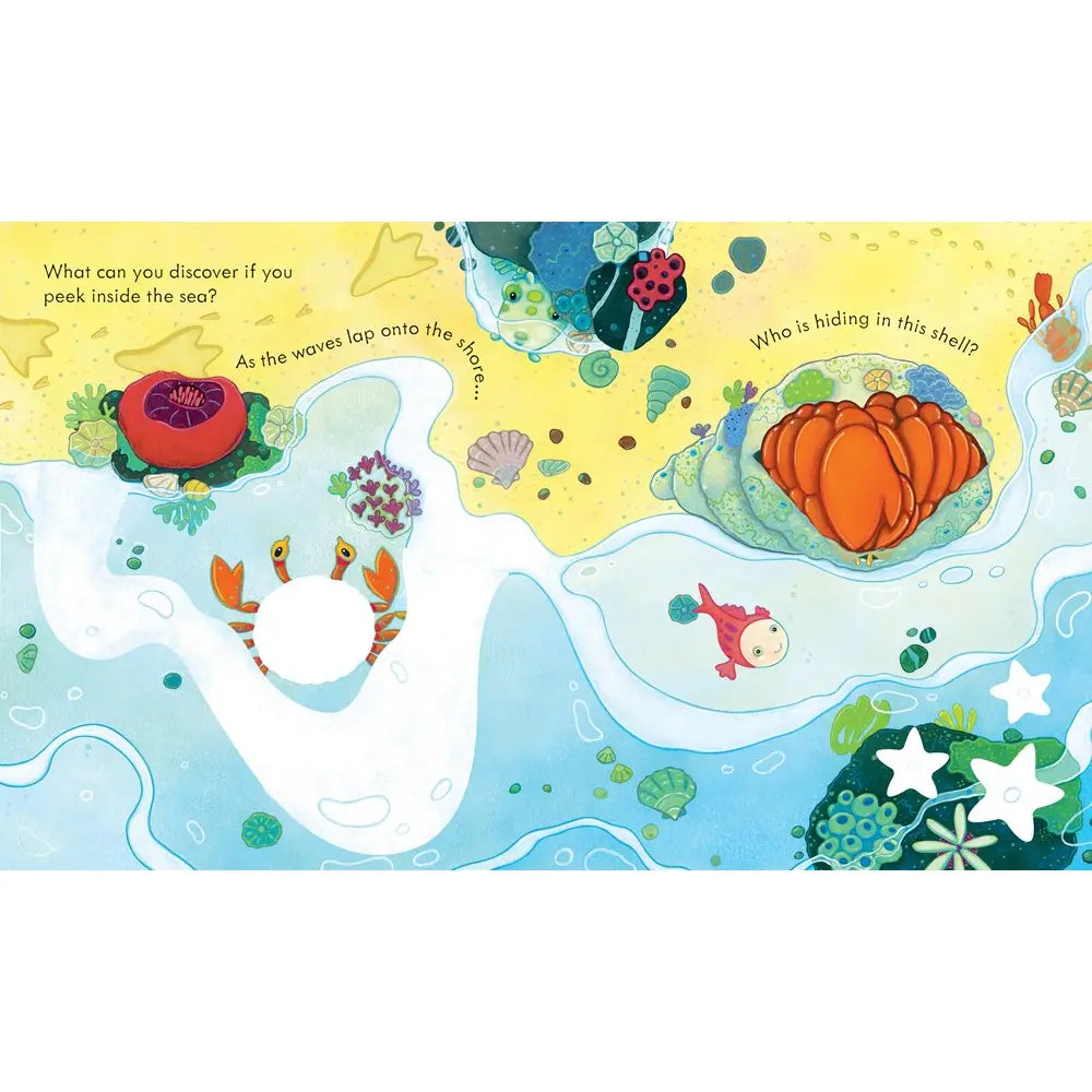 Peek Inside The Sea