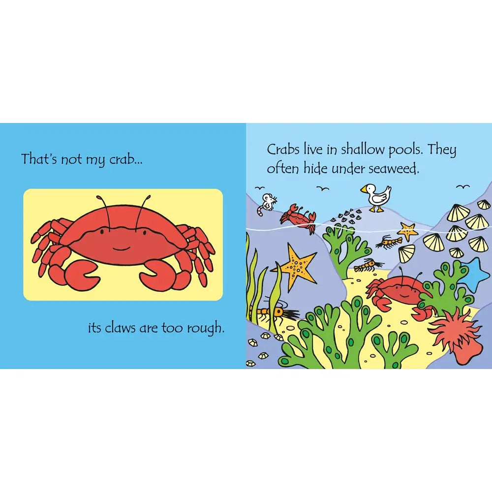 That’s Not My Jigsaw Book Under The Sea